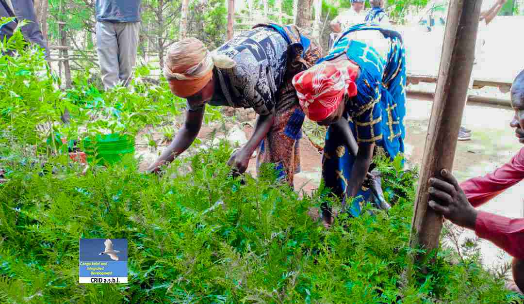 Kabare : Foyer de Paix reçoit un second lot d'arbres de la part de CRID